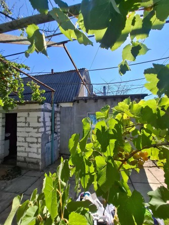 Продам Дом в Светлом - фото 1