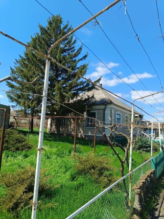 Продається затишний будинок у районі Скурта (смт Овідіополь) - фото 1