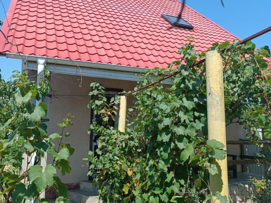 Продам  Дача-дом  в Затоке Затока