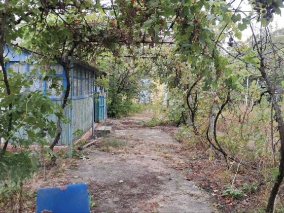 Дача в Затоке земля приват Затока