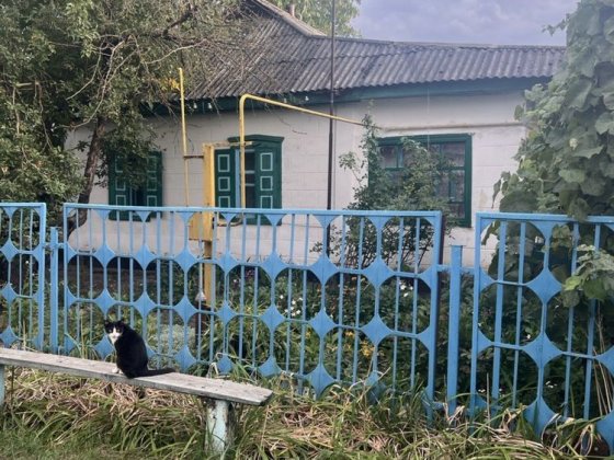 Продам‼️Полтавська область 14 км від міста Кобеляки Кобеляки