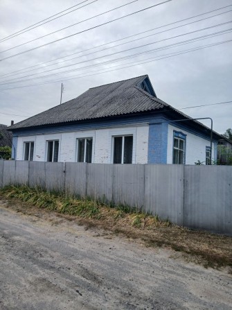 домо господарство - фото 1