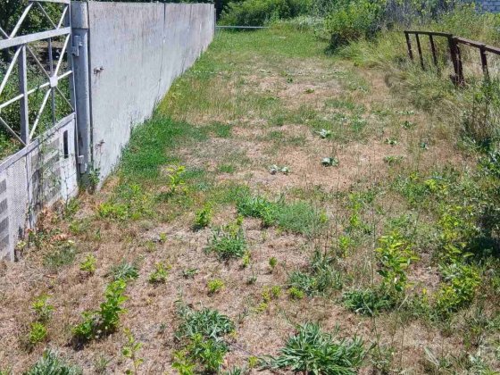 продам дачу в с.федоренки в кооперативе белок омельницкої за сільради Піщане