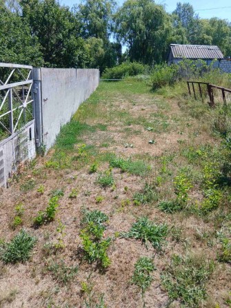 продам дачу в с.федоренки в кооперативе белок омельницкої за сільради - фото 1