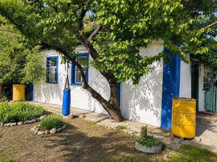 Будинок з господарством у с.Мачухи — 10 км від Полтави - фото 1