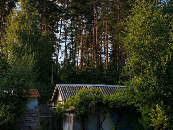Продам маленьку Дачу Кам'яна Гора
