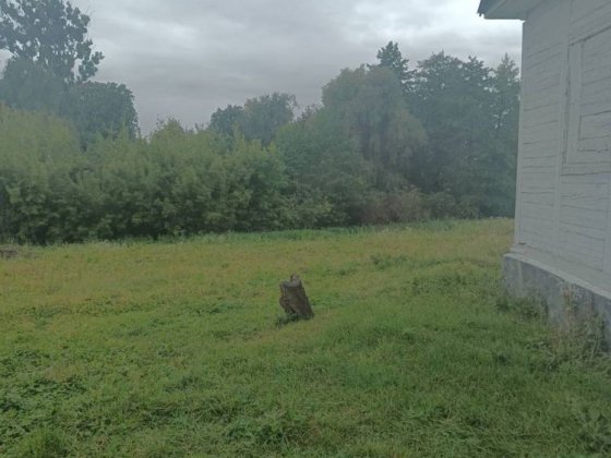 Продається дерев'яний будинок 65 м² біля річки, 35 сот землі, с. Калинівка Корец