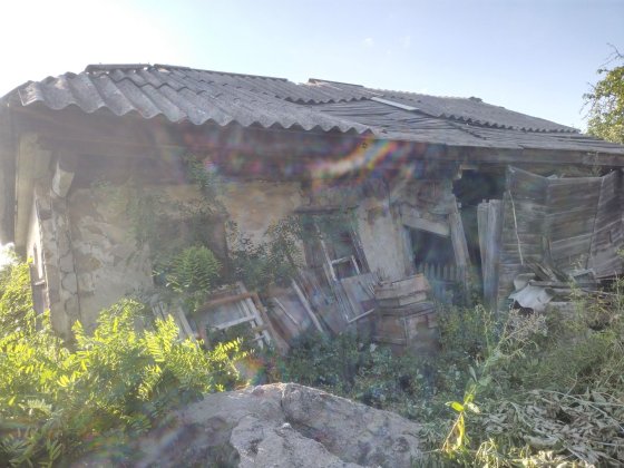 Дом дубовый на дрова Балаклея