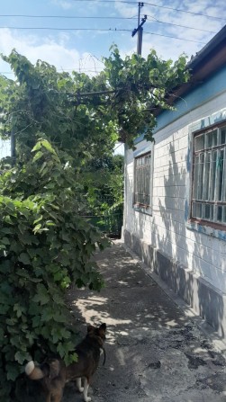 Будинок в селищі Підгородна - фото 1