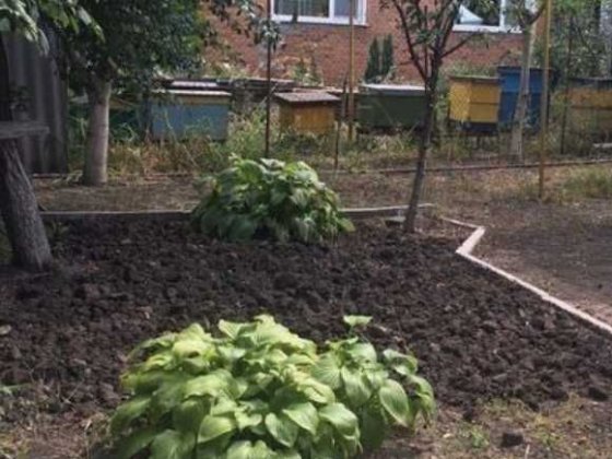 Продам дом/квартиру в Богодухове со всеми удобствами. Богодухів