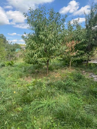 ТЕРМІНОВО! Будинок у самому центрі Дунаївців + 7,5 соток ID:46531 - фото 1