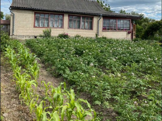 Будинок по вул. Бортницька біля річки Полонное