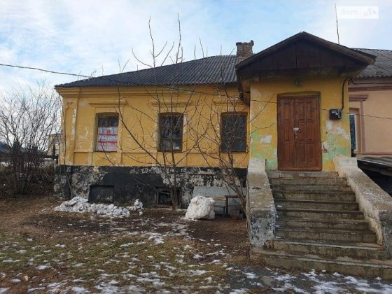 Продам будинок у центрі Нової Ушиці Нова Ушиця