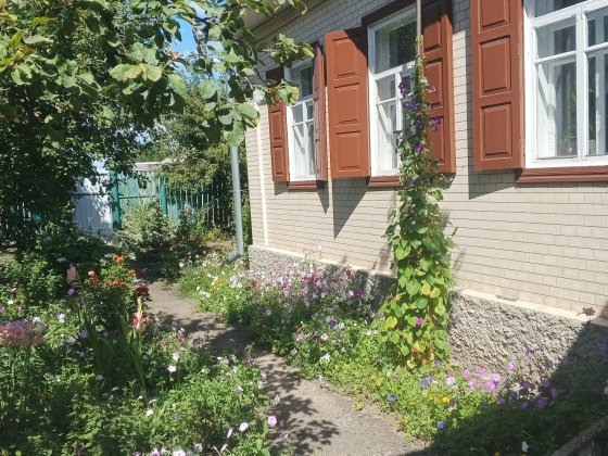 Продаю будинок в  с.Білозір'я Білозір'я