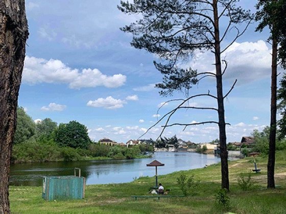 Продаж земельної ділянки село Свидівок Черкассы