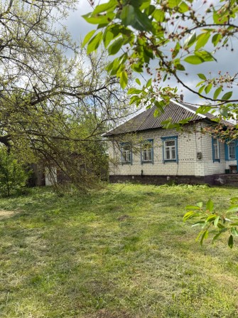 Продається будинок у м. Бахмач ! - фото 1