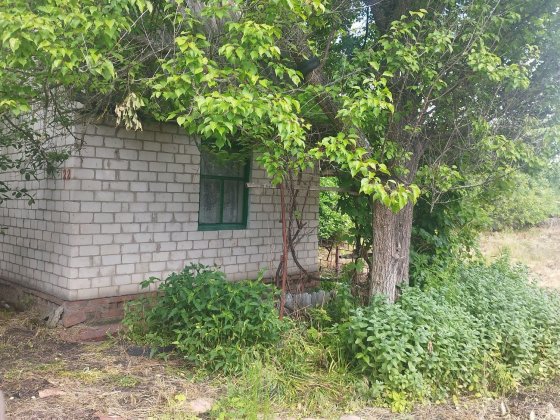Продам дачу в Киїнці Киенка