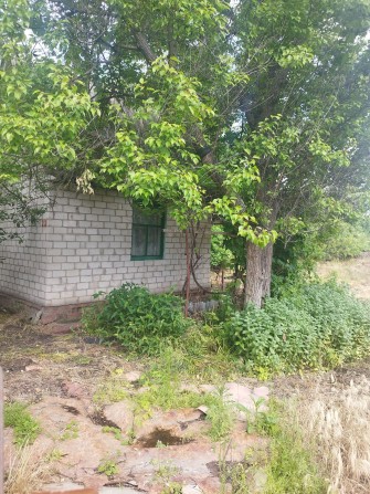 Продам дачу в Киїнці - фото 1