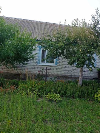 Продається будинок в м.Новгород-Сіверський - фото 1