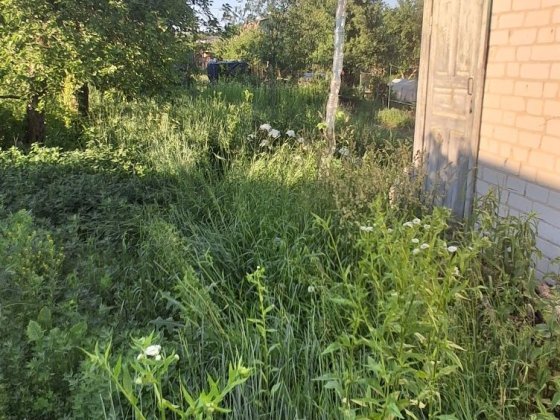 Продам дачу  ст.Механизатор Старий Білоус