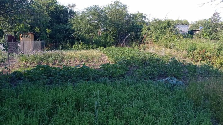 Дача  доглянута в Механізаторі - фото 1