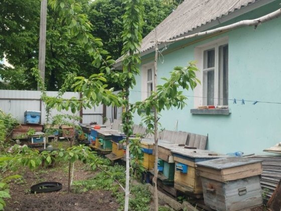 Продаж будинку в центрі міста Корюковка