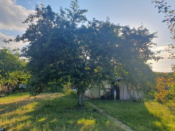 Продам дачу СОТ "Перетворювач 2", біля села Бабурка. Бабурка