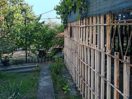 Продам дачу в садовом обществе Куриловка
