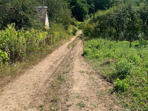 Дачка ,ну зовсім бюджетна. Приватизовані 12 сот. Від Білої Церкви 14 км на схід.