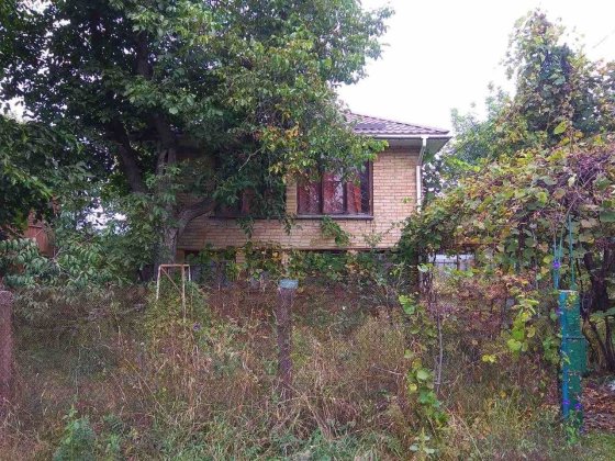 Продам дачу на Осокорках, СТ "енергетик", вул.Садова 114