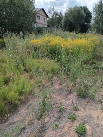Продам будинок дачу кунг на 2 чоловік! приватизована - фото 1