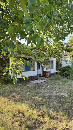 ПРОДАЖ 24 сотки приват землі +2 будинки в с. Потоки (12 км від Кременчука). Газ, свердловина,пляж 7  - фото 1