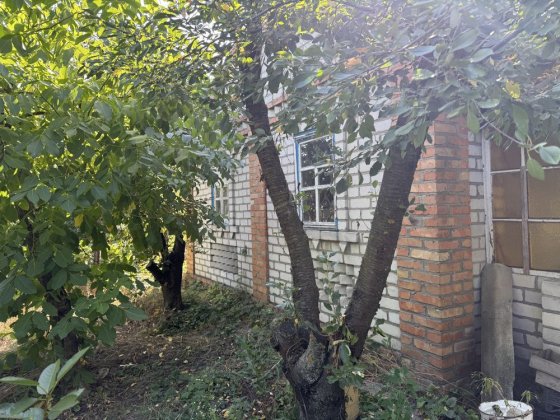 Продам дачу 20 соток СТ Ландиш 2 с.Потоки Кременчуг