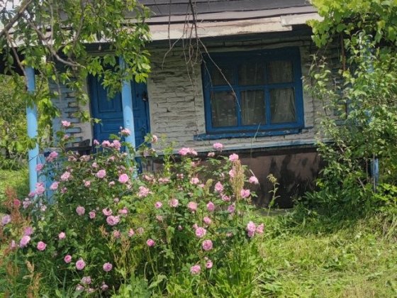 Дача 9 квартал СевГок Кривой Рог