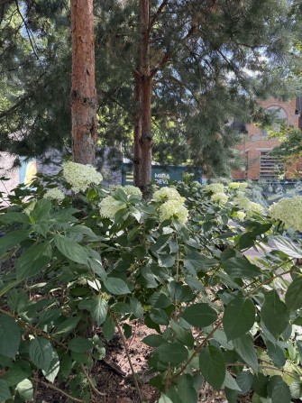 Будинок з ПІДВАЛОМ 215м2 на 6 сотках в ЕЛІТНОМУ КМ міста. Центральні комунікаціі. Інфраструктура пор - фото 1