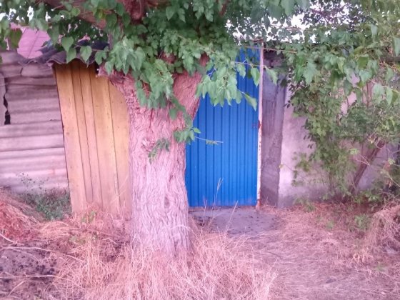 Продається дача на мопрі Кривой Рог