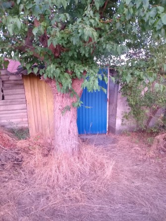 Продається дача на мопрі - фото 1