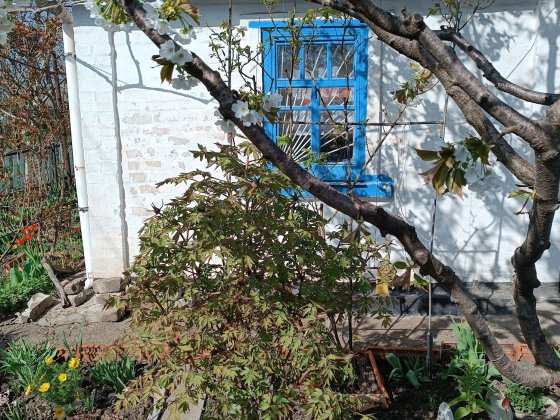 Продаж дачі в Ц-Міському районі. Район Модру. Кривой Рог