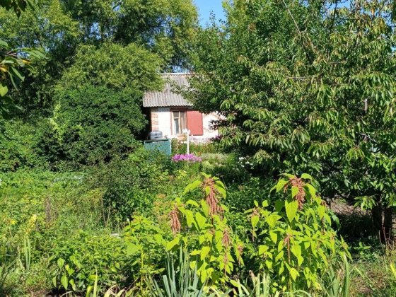 Власник ! Продам дачу садовий кооператив Баранівка-1 Сумы