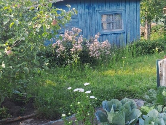 Продам дачу на Білопільській Сумы