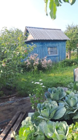 Продам дачу на Білопільській - фото 1