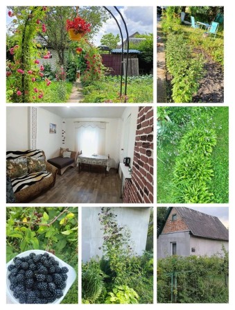Продам Дача Красносельський/Красносільський кооператив, власник - фото 1