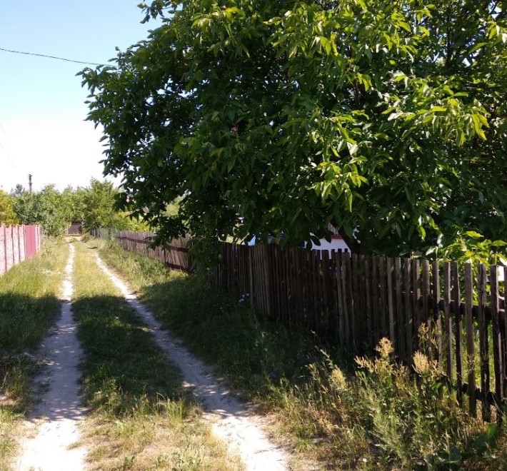 Думаєте про переїзд, але здається, що на будинок грошей просто немає?.. - фото 1