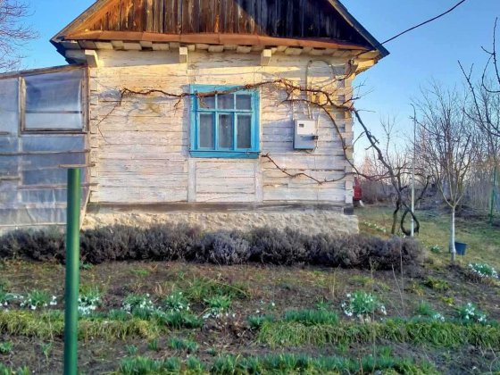 Продається старий дерев'яний будинок в селі Олексіївка Гощанський р-н. Рівне
