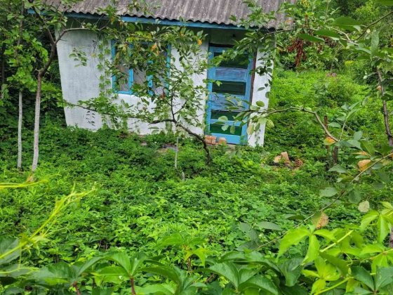 Продаж дачного участку Черновцы