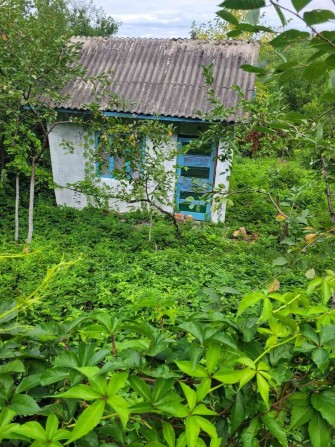 Продаж дачного участку - фото 1