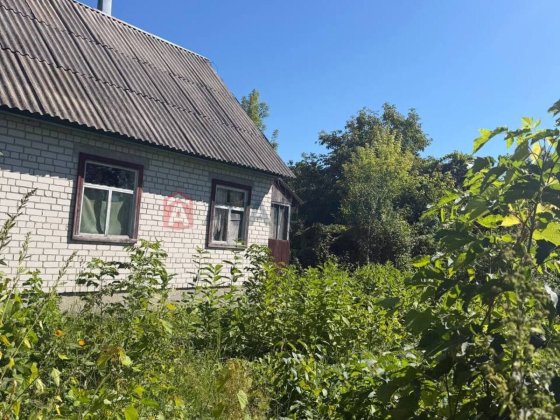 Продаємо дачу в селі Лозівок, кооператив «Дружба». Черкаси