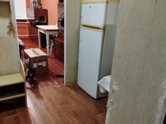Здам кімнату в гуртожутку Ніжин