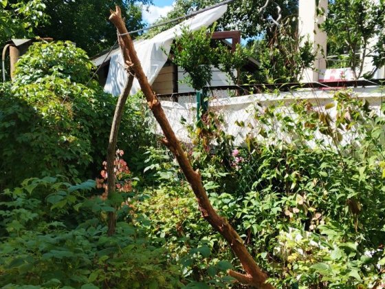 Здам кімнату(дві).Лютіж,на 1-5 людей. Лютіж