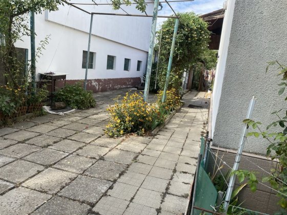 Здаеться кімната Ужгород